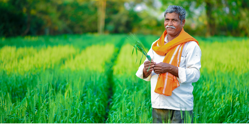Farmer Certificate